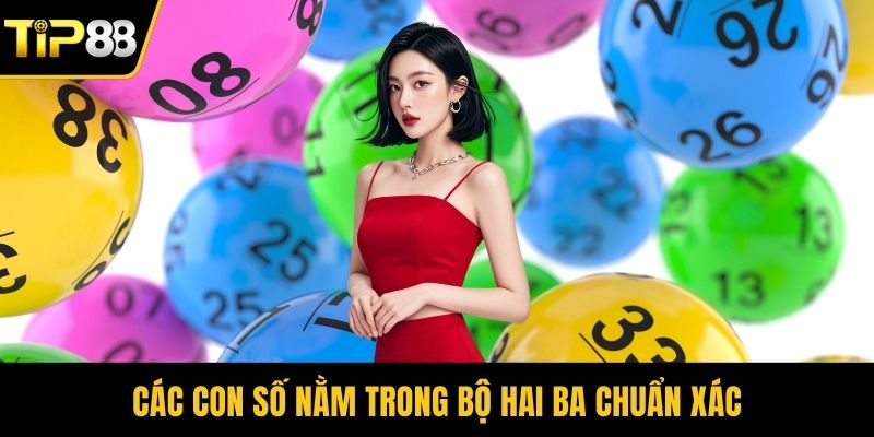 Các con số nằm trong bộ hai ba chuẩn xác