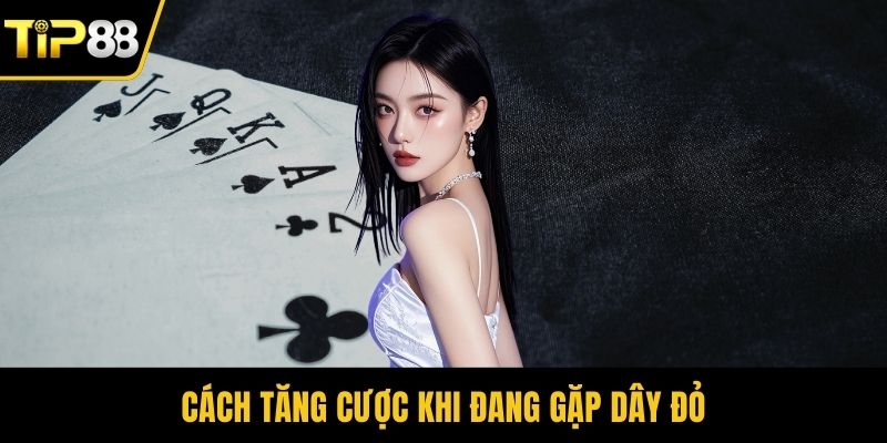 Cách tăng cược khi đang gặp dây đỏ