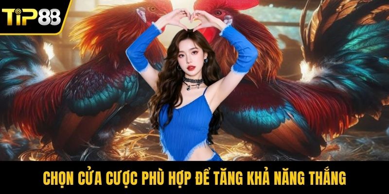 Chọn cửa cược phù hợp để tăng khả năng thắng